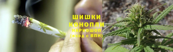 сатива Балахна