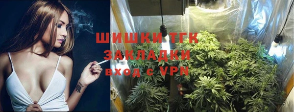 сатива Балахна