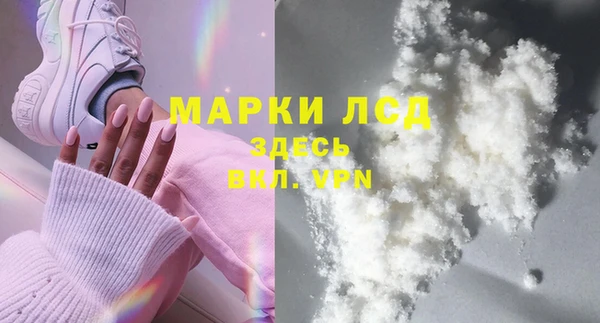 сатива Балахна