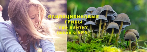 сатива Балахна