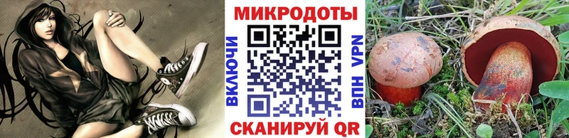 Галлюциногенные грибы Cubensis  Светлоград 